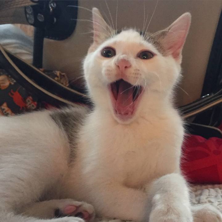 Aeebd513 e168 482c 870f 01af8d7835b4