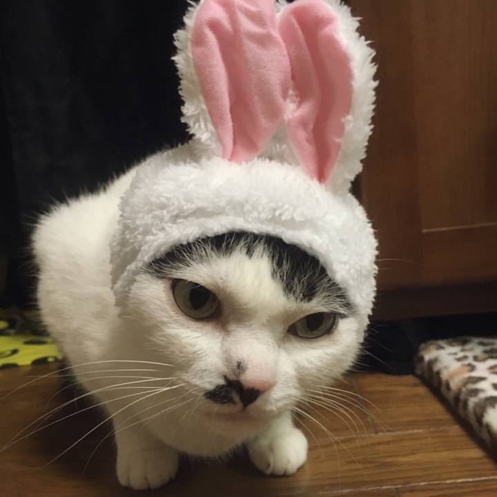 Aeebf1ae a9d5 4b9b a116 3ec869a5e15a