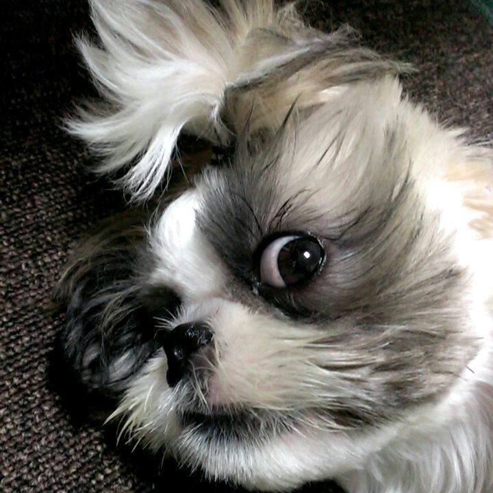 Aeec32a0 2103 4162 96ab 7207addbb1f9