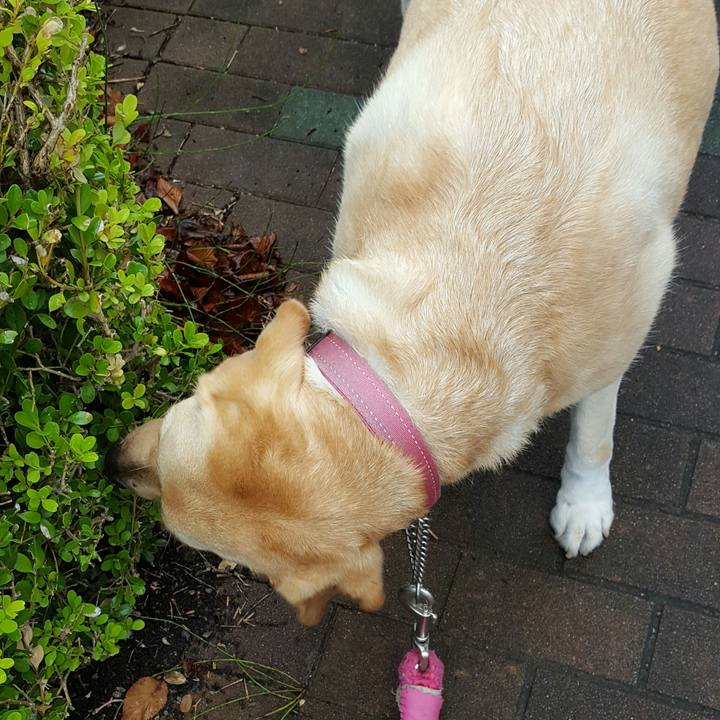 Aeec6a66 a18d 4ada a51a 4b0d16bbe48c