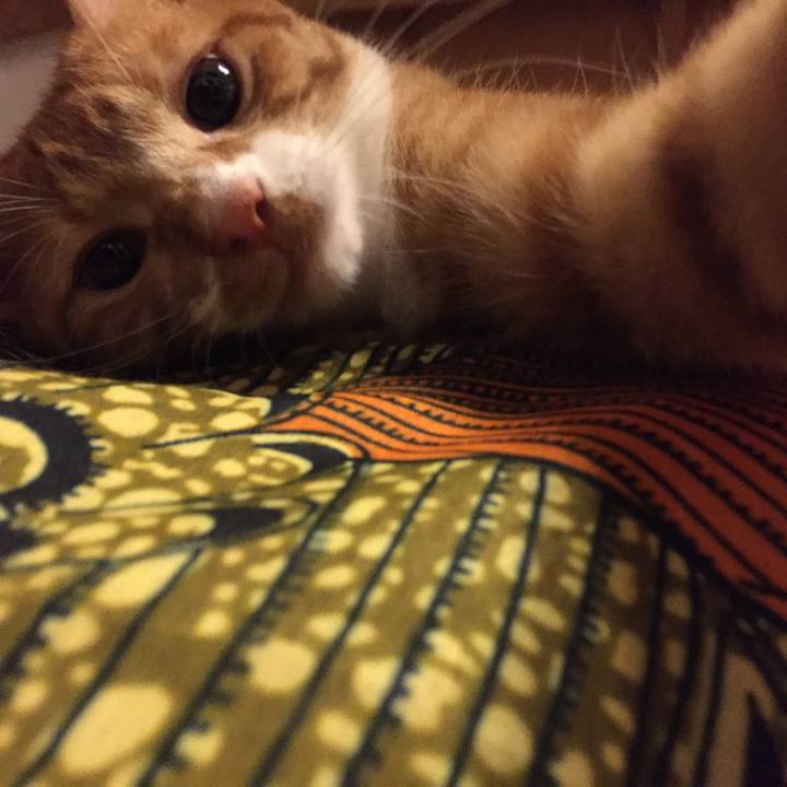 Aeecb5e0 2029 4874 a121 4505c7135ddf