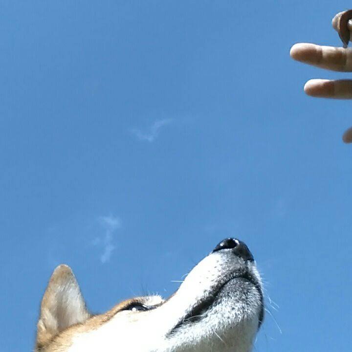 Aeecd9a9 47b6 4180 a3a9 de16fab2683e