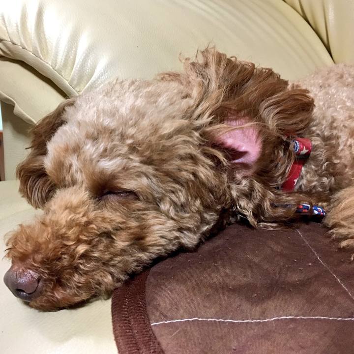 Aeed1010 c47c 4a53 a573 6c7cf4503615