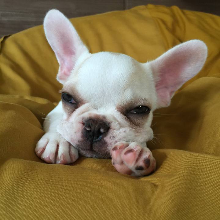 Aeed2e41 aa75 4138 9567 6441ab8cd6b4