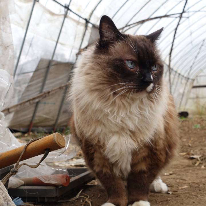 Aeed699b d062 47c0 a428 cf46814110dc