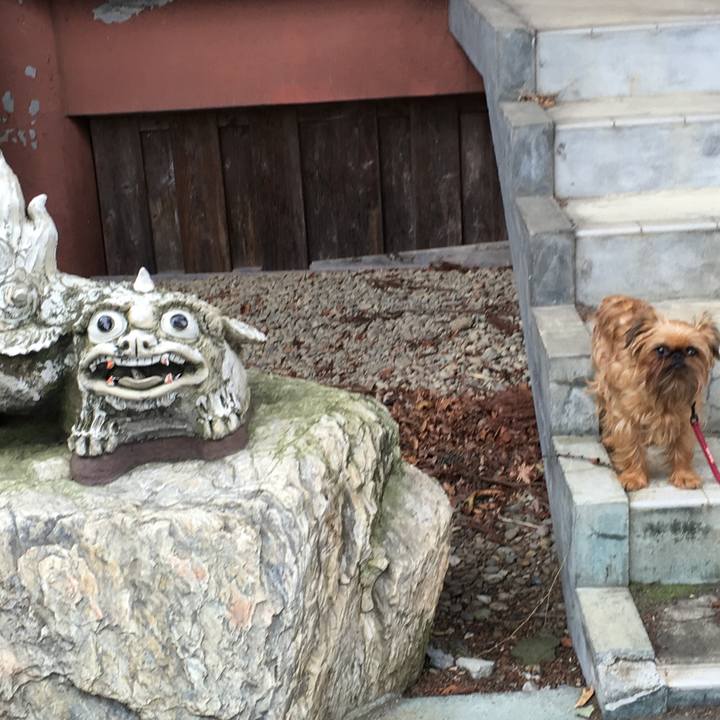 Aeed71a5 daf0 48d8 9b36 343f3c906514