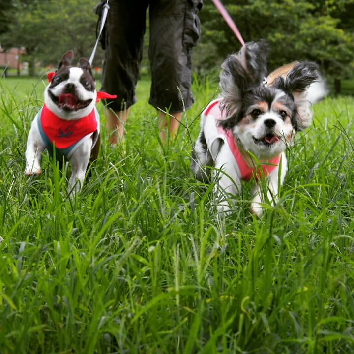 Aeed9198 ee4b 4e21 b9b2 3fcd0aa73fa6