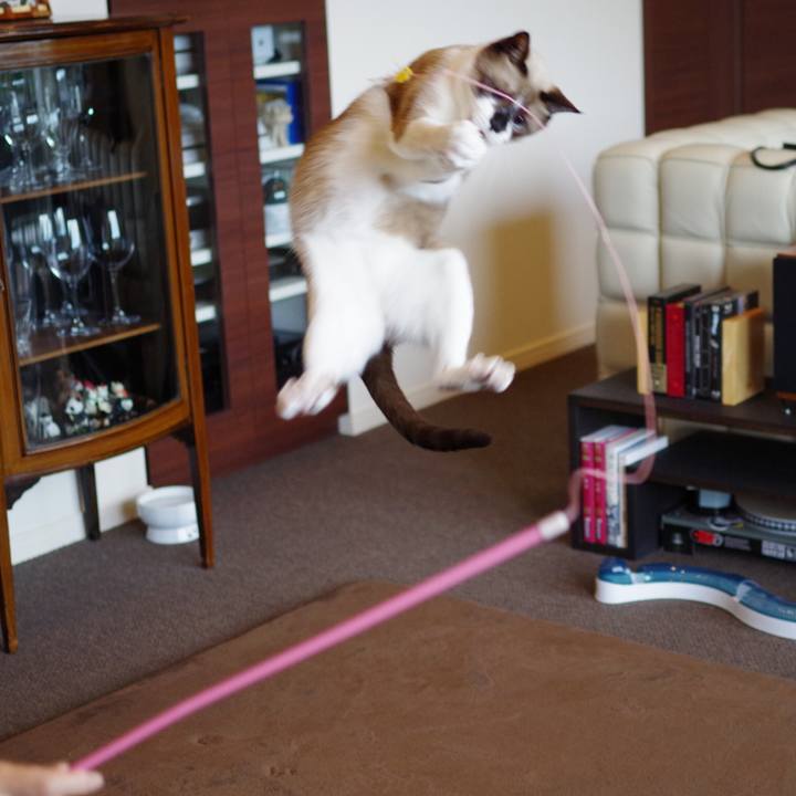 Aeedd434 b851 49df 9c9c c63572b7da98