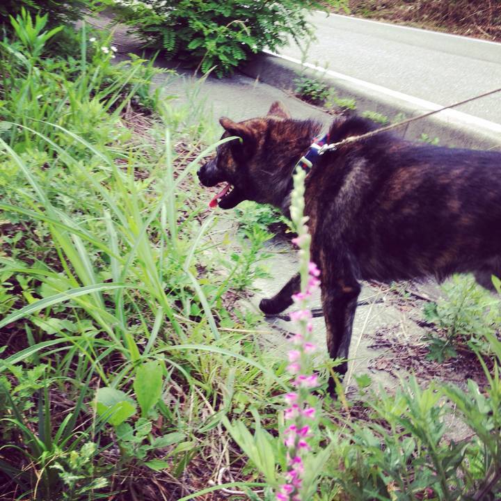 Aeee0d16 3b40 4f5f b00c 30a1b8d728c4