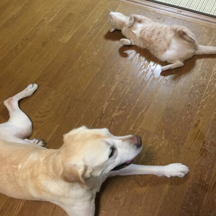 Aeee348e 0517 4826 b012 61ae282a25d5