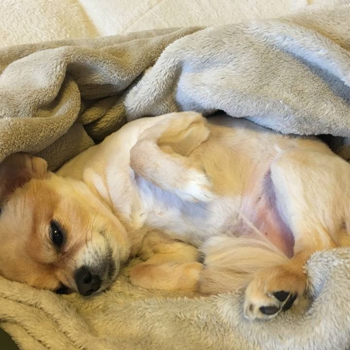 Aeee35b8 c1ee 46e0 8364 806e545d6246