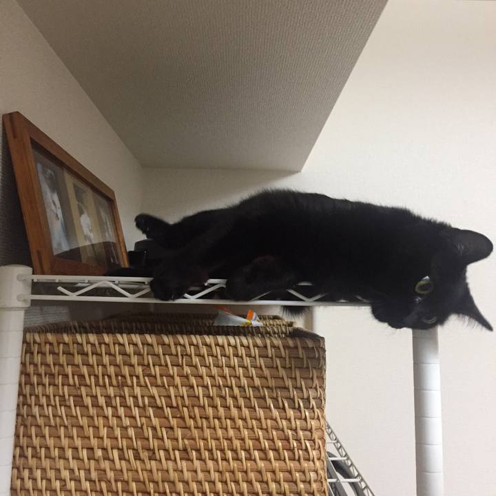 Aeee8b96 28eb 4c94 9c2f 8ec1291bb1c0