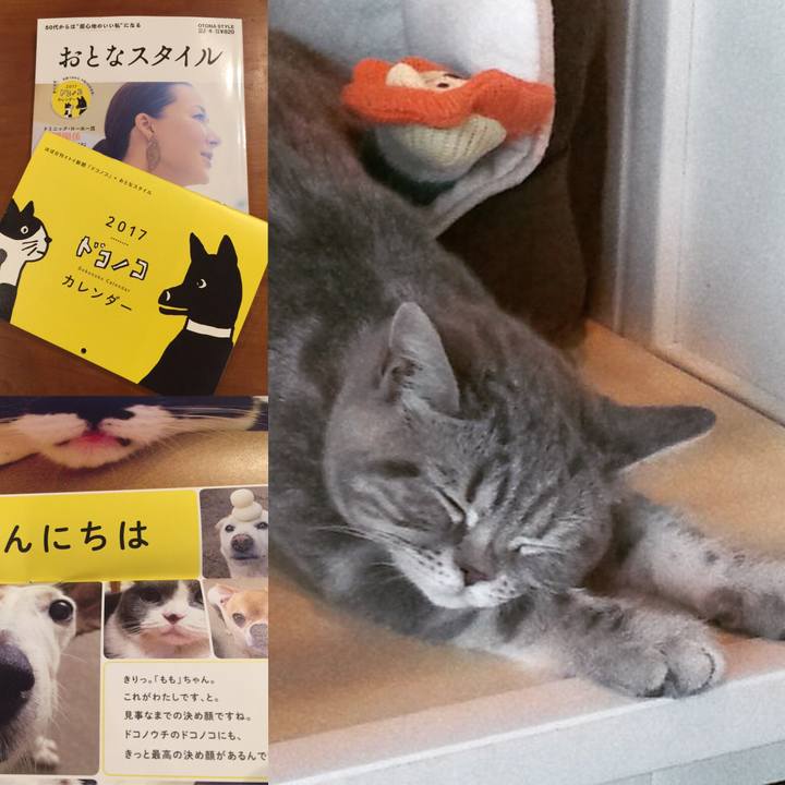 Aeeebef3 ae6c 4d48 a8ec 292ab5472292