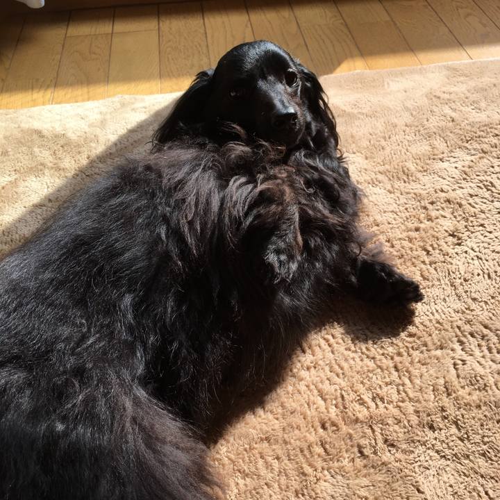 Aeeed358 69e6 4b1d 86c1 b1f042f6c7f8