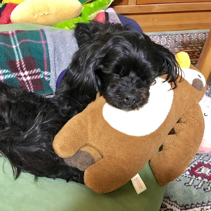 Aeef5037 4494 4154 af20 6e7701b99852