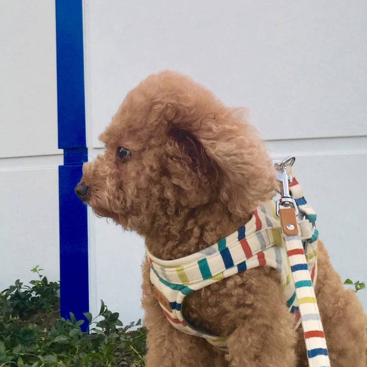 Aeef9d34 8ecc 4405 843f ffb5fe62e099