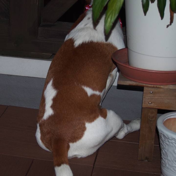 Aeefbde4 e6f7 4158 9159 debb80b4d9b0