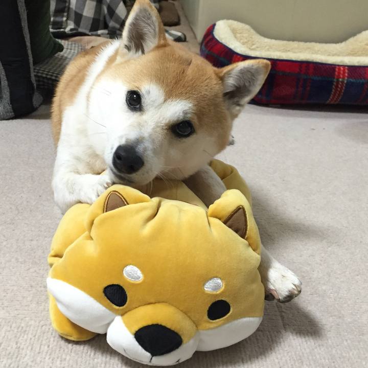 Aeefce60 fcf3 4364 bdfd c895bfcc198a