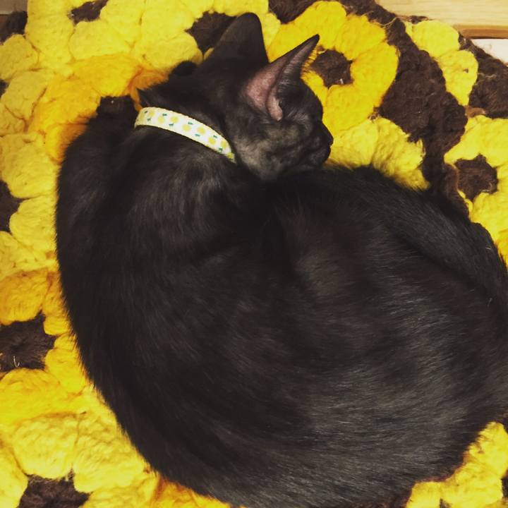 Aeefd3d1 a39a 4992 af87 30b9a194f1e7