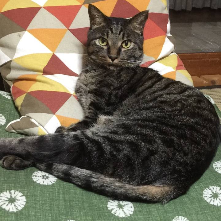 Aef0163d 10a1 4df2 a255 a1d60542341e