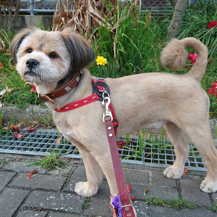 Aef03566 d646 4313 be74 b1c27cafb957