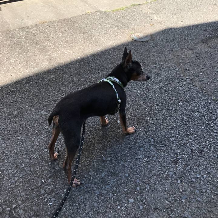 Aef03e30 6b84 4095 b938 0493af10f630