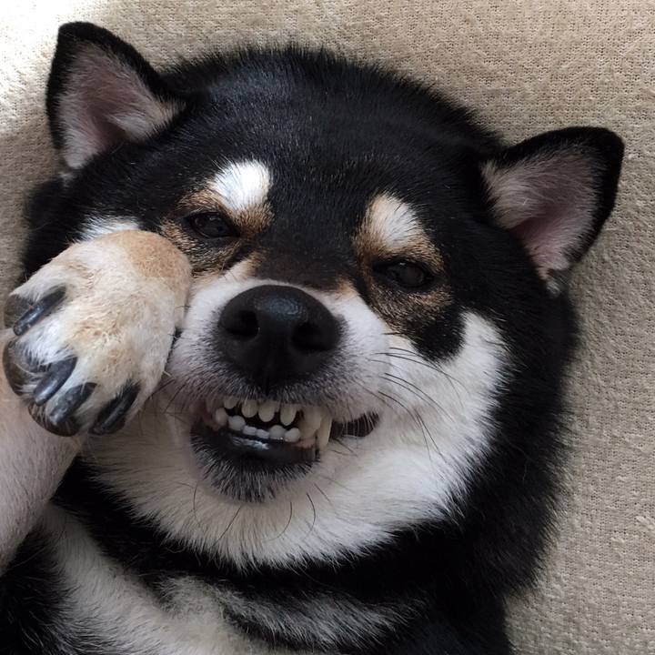 Aef088f2 085b 4f2f 855f 0610ac873af9