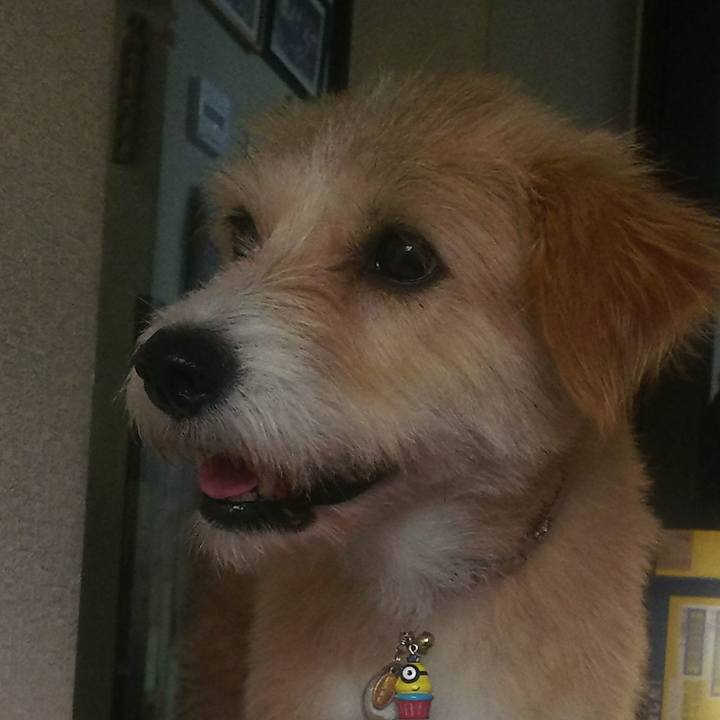 Aef14db7 fbba 49f7 bd2b 66a29683e220