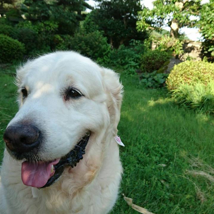 Aef19c49 3f68 4e13 b8b4 1659abcb0d50