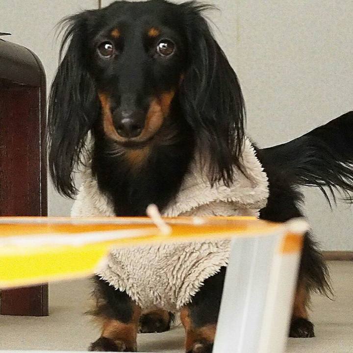 Aef21364 2db0 4535 8aa5 77eddf1d399c