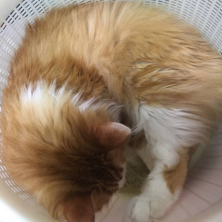 Aef26729 b53f 488f 9e87 4bf7fec6d6b8