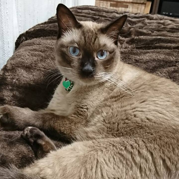 Aef2e45e bafe 4c6c b530 1ef6bdd86d65