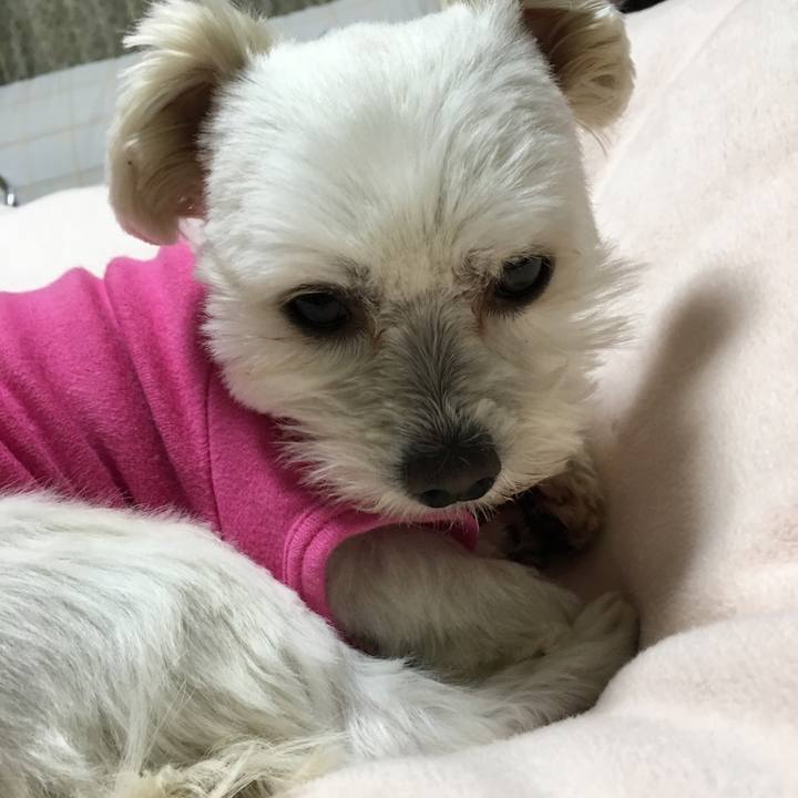 Aef3ff7d 4ef7 4a8b 8aad 281b11d2fde3