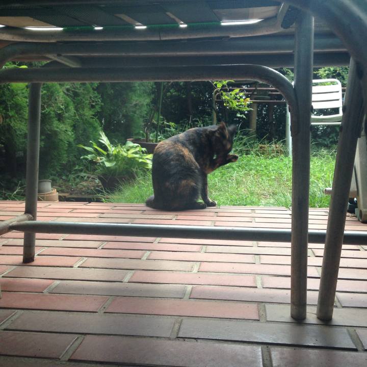 Aef44ad6 d7ee 4e29 9090 b7a64ab88ebe