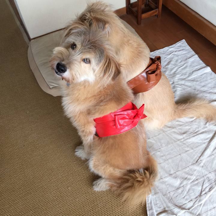 Aef47b5e 4df3 437e a980 b1cd2c993e8d