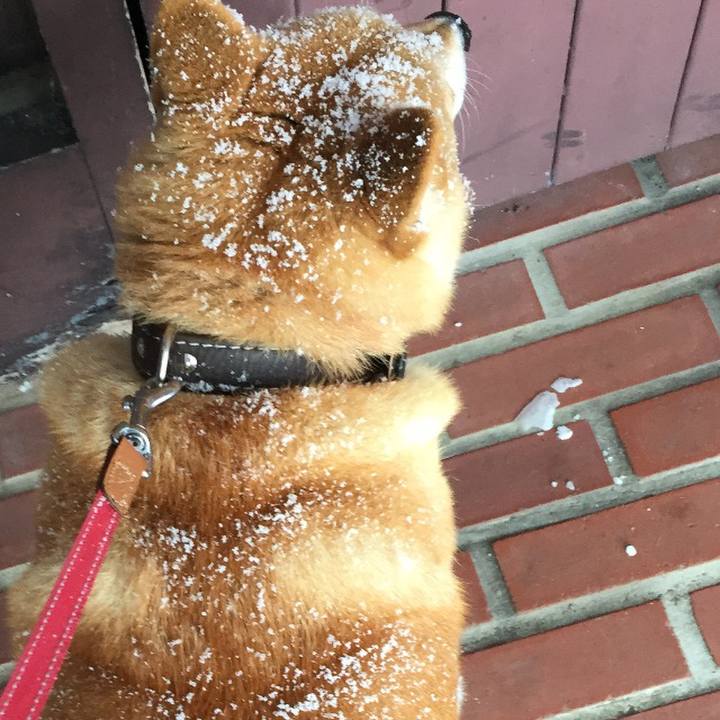 Aef4a371 fa39 4de7 980d 69cab7eb6348