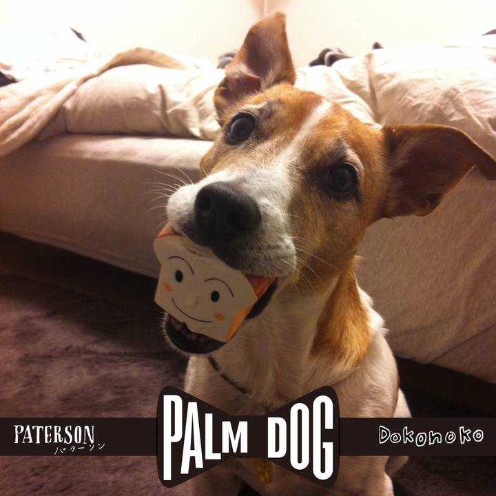 Aef4a4d3 33d2 471a 9cca 6fcf5481e4d4