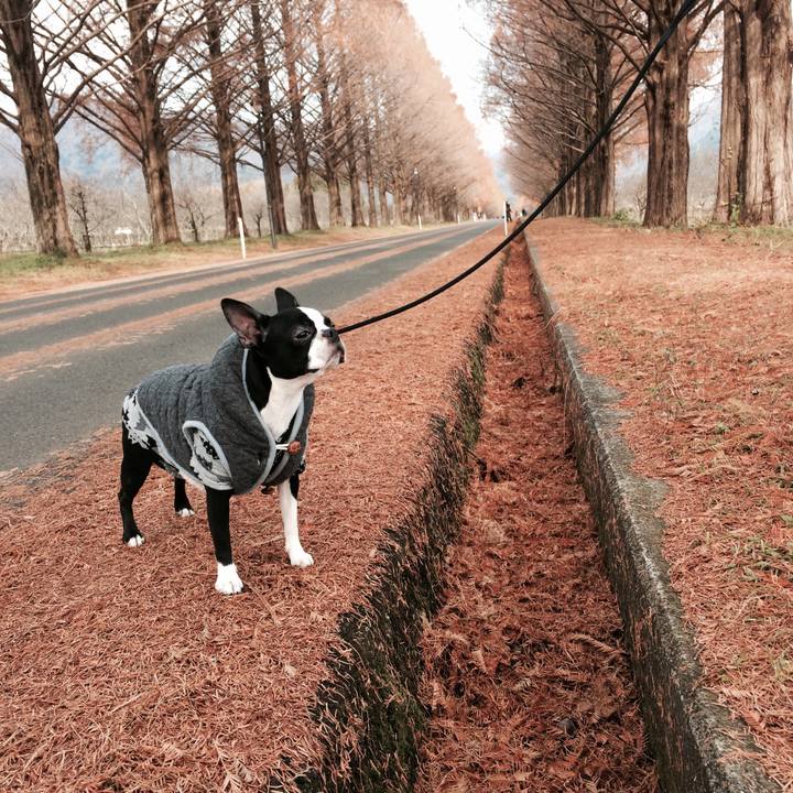 Aef4b132 a5b4 4c41 a873 649ad9f24fdd