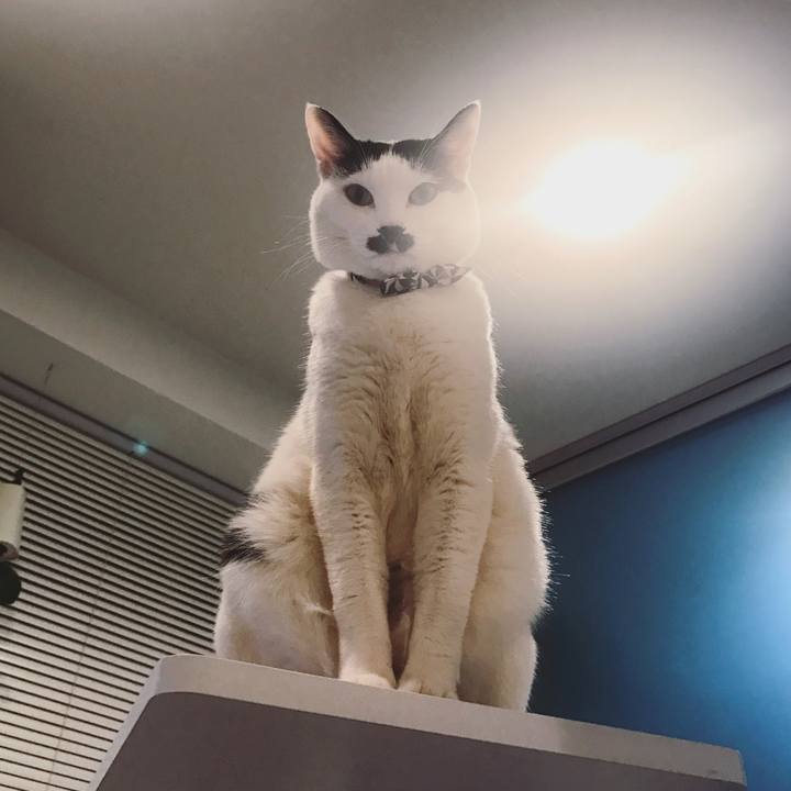 Aef53480 918b 4e3c b92d 8bcc6303fddd