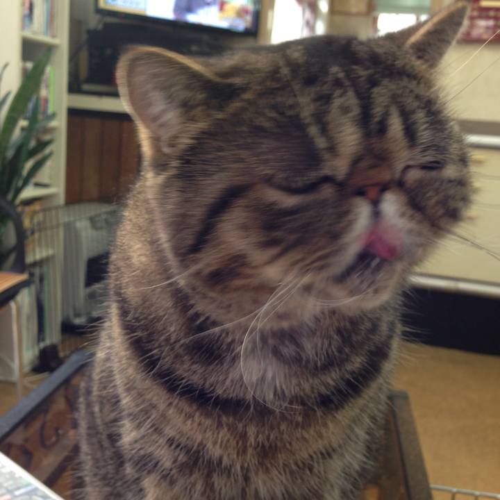 Aef590c0 33a5 4350 afae 9eadd0b5bbf9