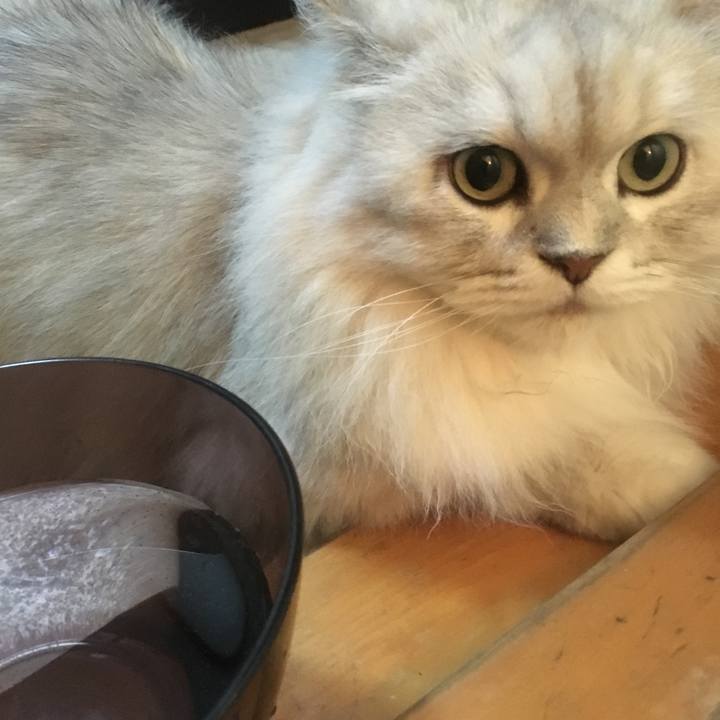 Aef5ab12 f6b3 4d3b a5b0 ac15899b7b80