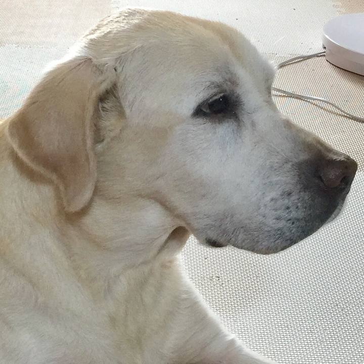 Aef63778 f0ca 48b1 94ff 2888b696f954