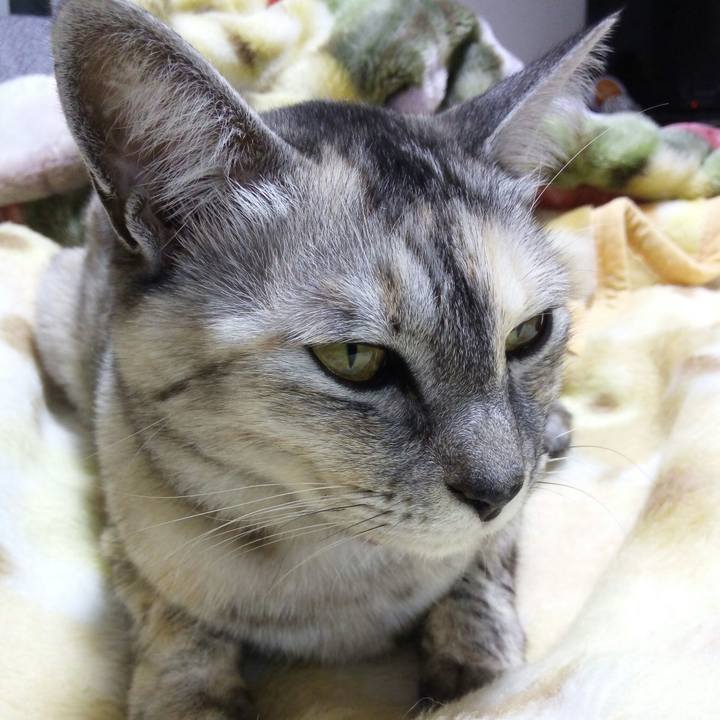 Aef6b4b2 0498 4308 969e 55b2c9d1b6c2