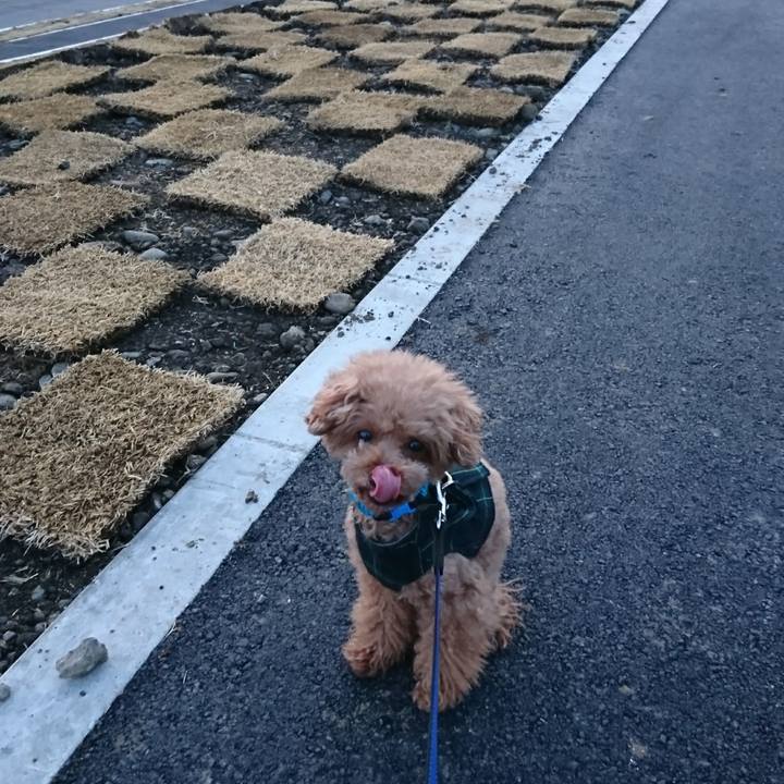 Aef6b85b 63b0 44ab 9bb0 b55426a1f81d