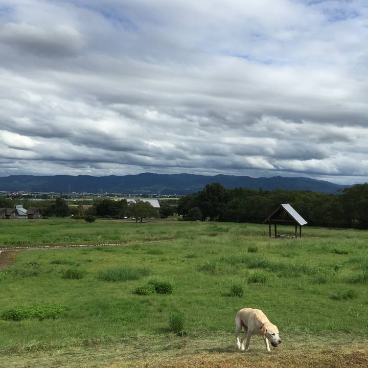 Aef6d587 58fa 483e 804d d80a5f2ef818