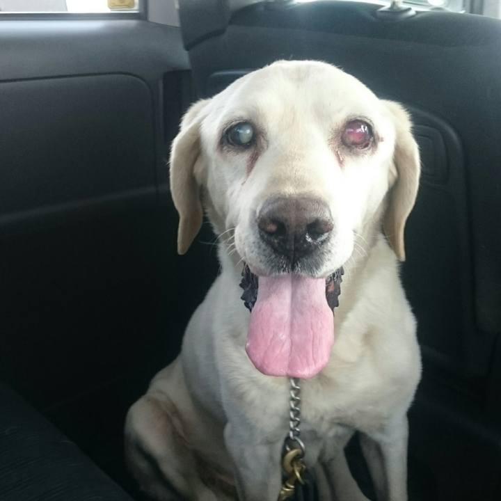 Aef72e17 a38f 49cc ac91 6294dc2e8976