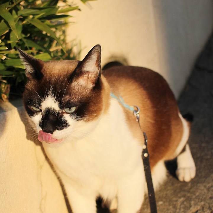 Aef83def f143 4d74 8210 61899606fc04