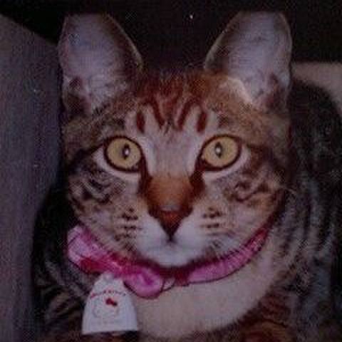 Aef88593 9a88 4bec ad62 a68e1a5eae46