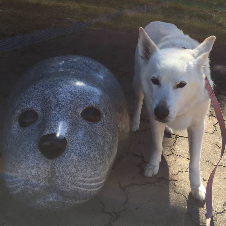 Aef90a58 6ef0 43cf 906d 4e2aa8e24dd9