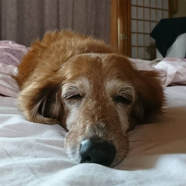 Aef95a18 e1d4 4eca 8ded 92140cffc9bc